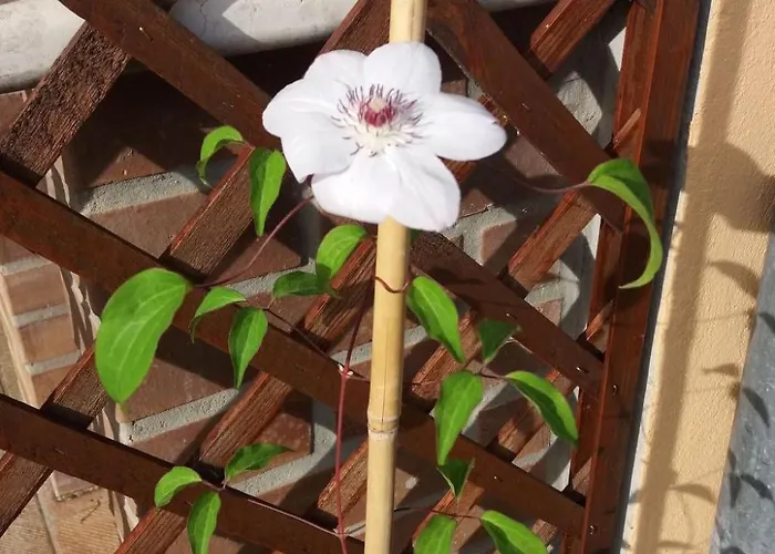 Holiday home Haus Mirelia Fuer Zwei Personen Mit Garten By Interhome *